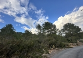 Non-developable land for sale in Sagunto ref: TR253076 photo