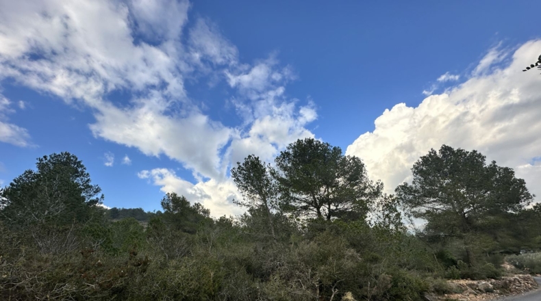 Valencia - Sagunt - 6133m2