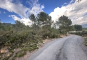 Non-developable land for sale in Sagunto ref: TR253076 photo