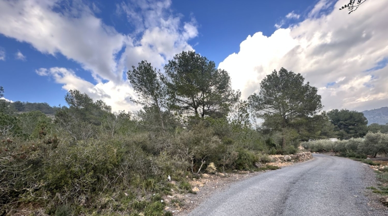 Valencia - Sagunt - 6133m2