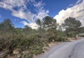 Non-developable land for sale in Sagunto ref: TR253076 photo