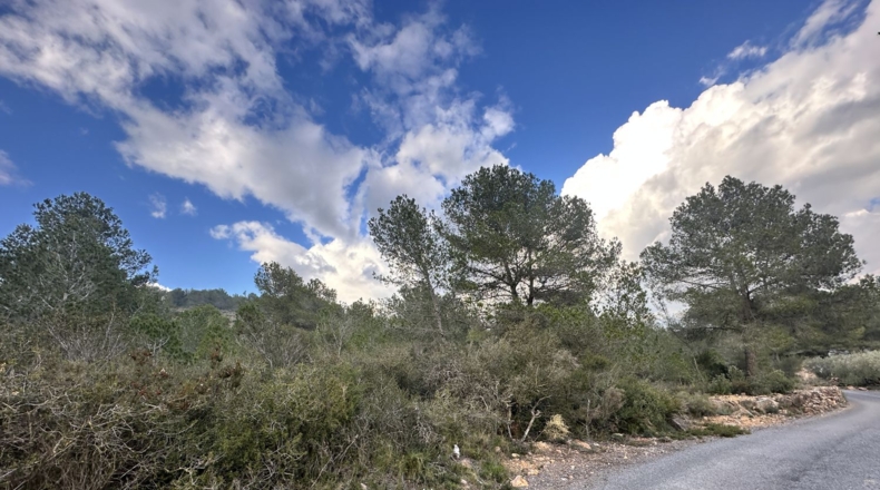 Valencia - Sagunt - 6133m2