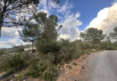 Non-developable land for sale in Sagunto ref: TR253076 photo