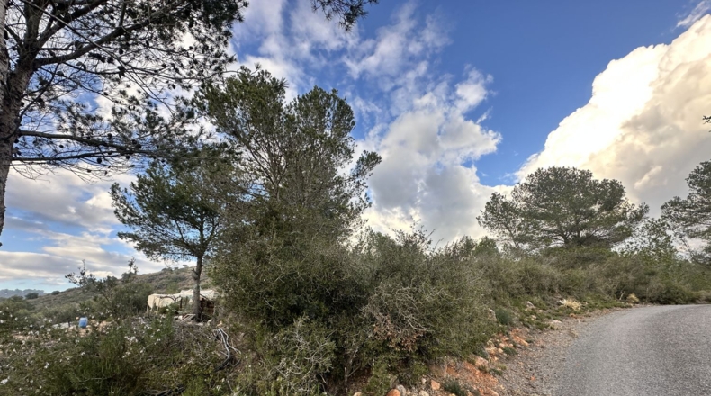 Valencia - Sagunt - 6133m2