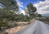 Non-developable land for sale in Sagunto ref: TR253076 photo