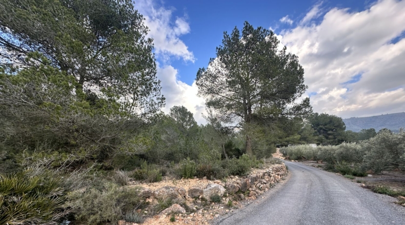 Valencia - Sagunt - 6133m2