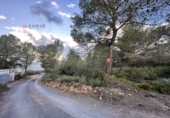 Non-developable land for sale in Sagunto ref: TR253076 photo