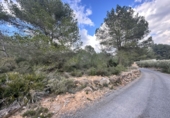Non-developable land for sale in Sagunto ref: TR253076 photo