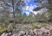 Non-developable land for sale in Sagunto ref: TR253076 photo