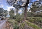 Non-developable land for sale in Sagunto ref: TR253076 photo