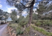 Non-developable land for sale in Sagunto ref: TR253076 photo