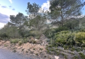 Non-developable land for sale in Sagunto ref: TR253076 photo