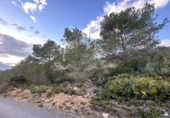 Non-developable land for sale in Sagunto ref: TR253076 photo