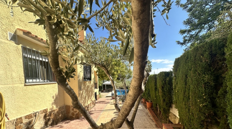 Valencia - Algar de Palància - 675m2