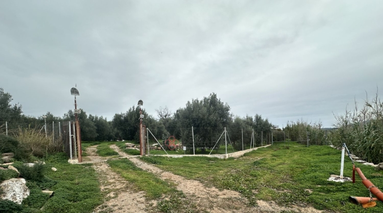València - Petrés - 6536m2