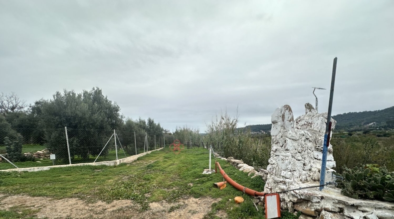 València - Petrés - 6536m2