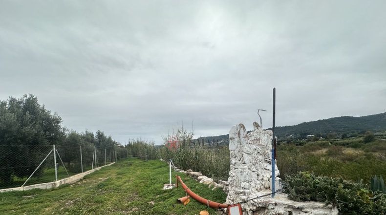 València - Petrés - 6536m2