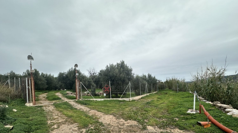 València - Petrés - 6536m2