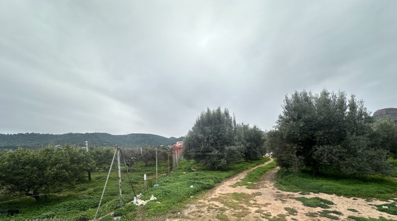 València - Petrés - 6536m2