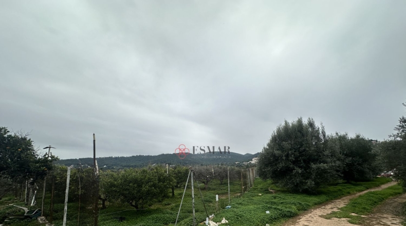València - Petrés - 6536m2