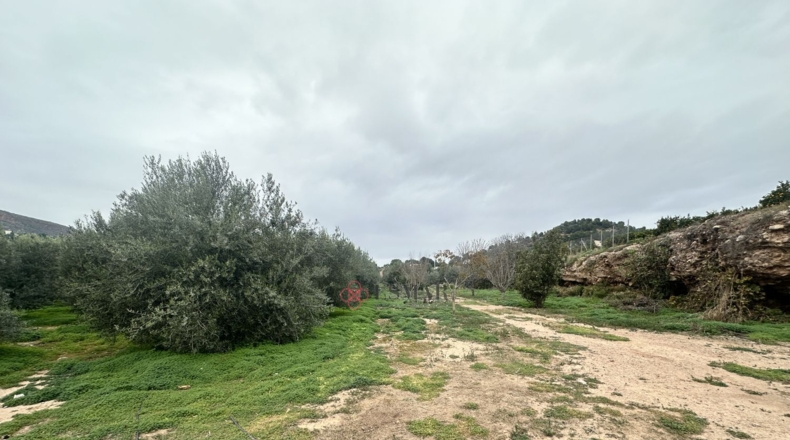 València - Petrés - 6536m2