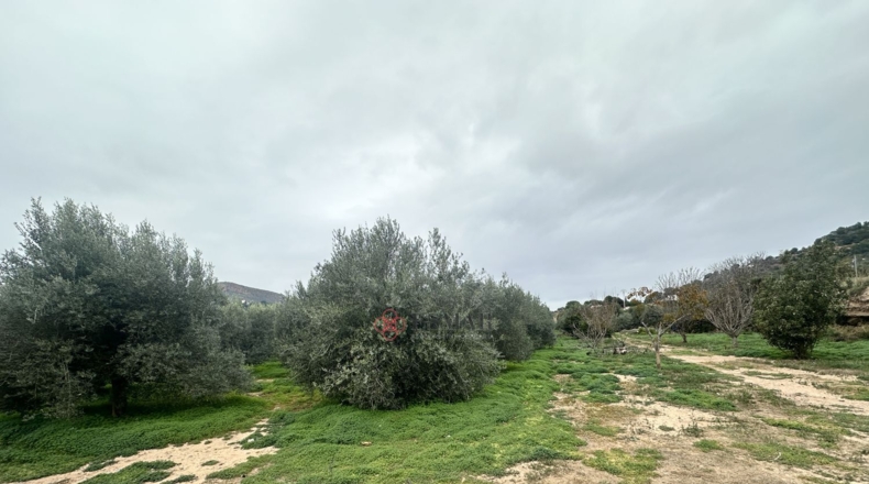 València - Petrés - 6536m2