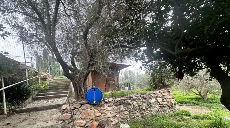 València - Petrés - 6536m2