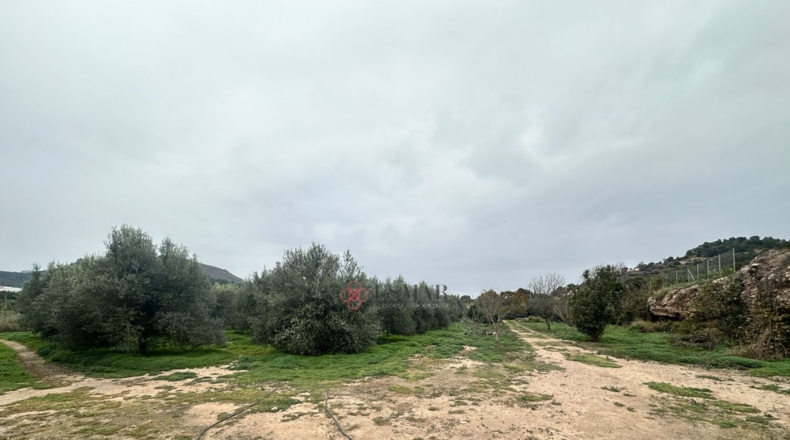 València - Petrés - 6536m2
