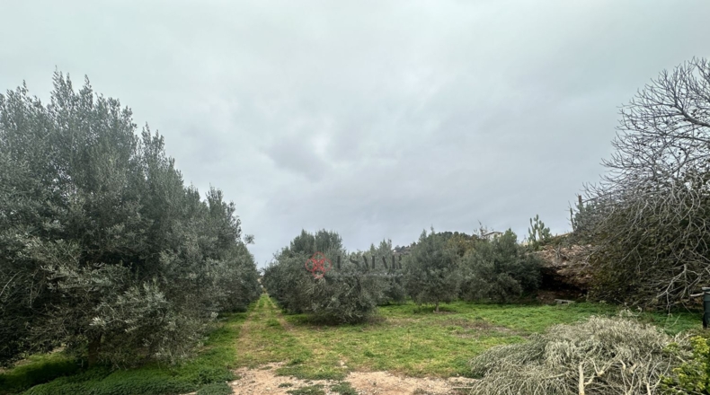 València - Petrés - 6536m2
