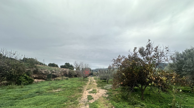 València - Petrés - 6536m2