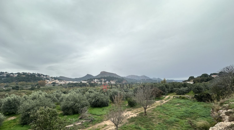 València - Petrés - 6536m2