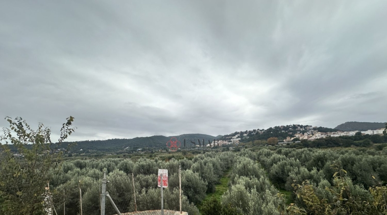 València - Petrés - 6536m2