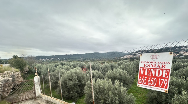 València - Petrés - 6536m2
