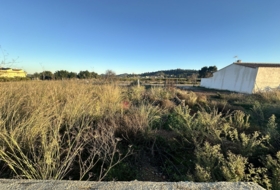 Foto 19