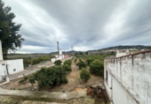 Xalet independent amb terreny en venda a Algímia d'Alfara ref.: TR377450 foto