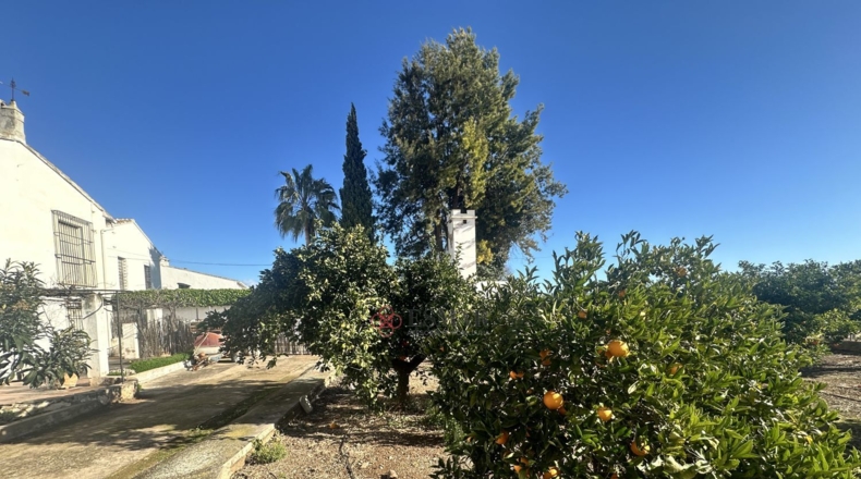 Valencia - Algimia de Alfara - 732m2