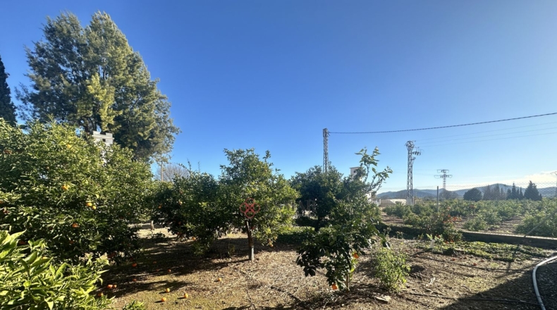 Valencia - Algimia de Alfara - 732m2