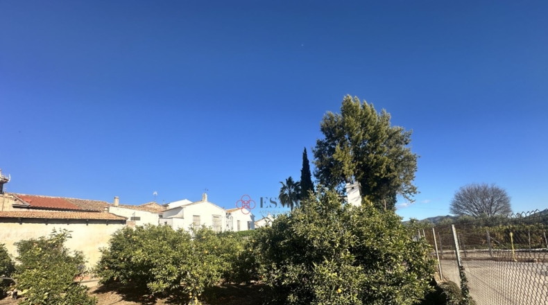 Valencia - Algimia de Alfara - 732m2