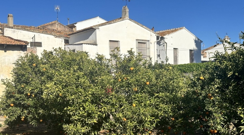 Valencia - Algimia de Alfara - 732m2