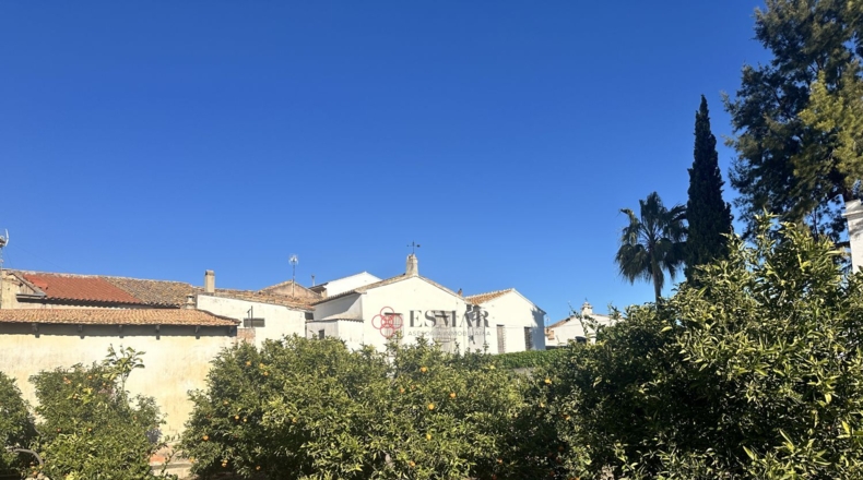 Valencia - Algimia de Alfara - 732m2