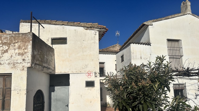 Valencia - Algimia de Alfara - 732m2