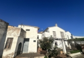 Xalet independent amb terreny en venda a Algímia d'Alfara ref.: TR377450 foto