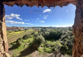 Casa de pueblo en venta en Alfara de la Baronia ref: TR379149 foto