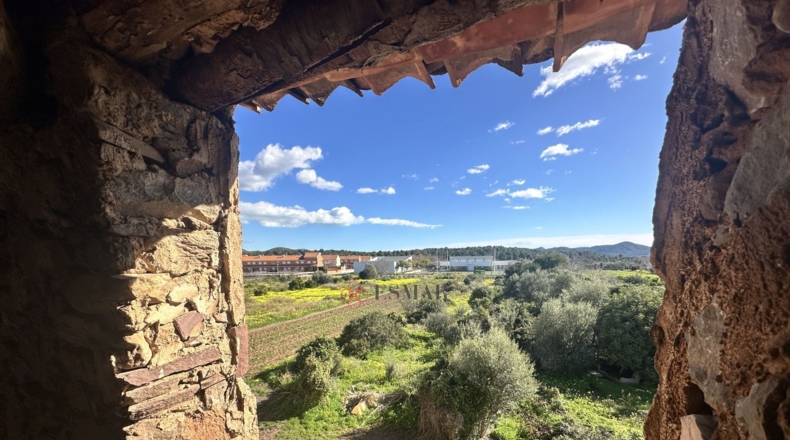 Valencia - Alfara de la Baronía - 202m2