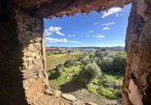 Casa de pueblo en venta en Alfara de la Baronia ref: TR379149 foto