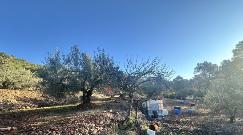 Castellón - Soneja - 10311m2