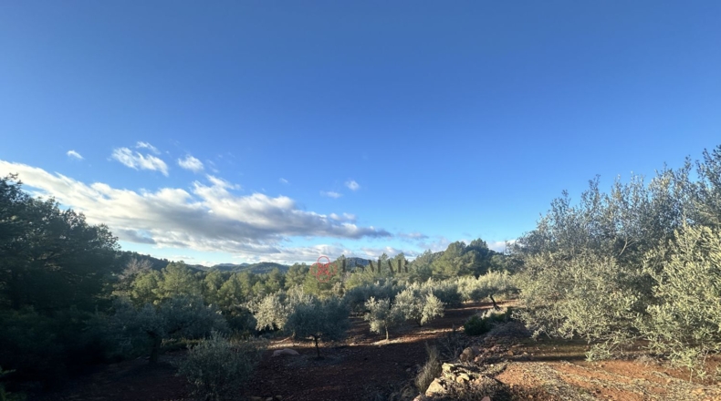 Castellón - Soneja - 10311m2