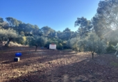 Terreno no urbanizable en venta en Soneja ref: TR378191 foto