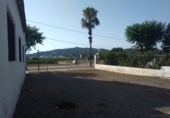 Sòl urbà en venda a Algímia d'Alfara ref.: TR253078 foto
