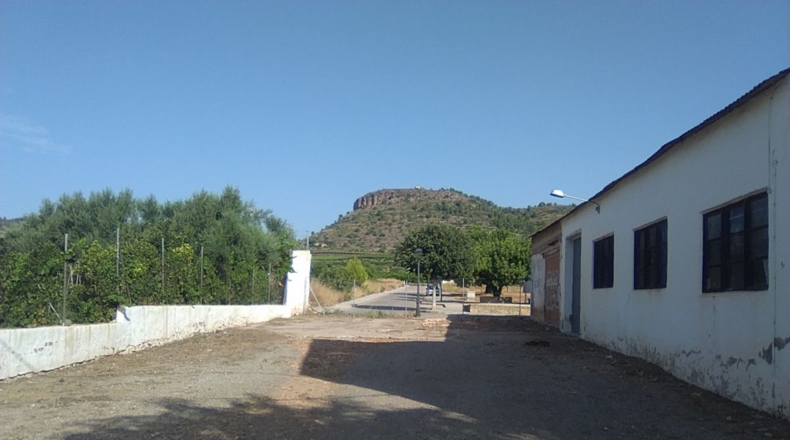 Valencia - Algímia d'Alfara - 1078m2
